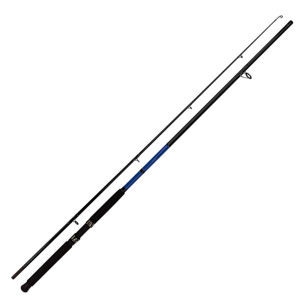 Fishing Rod | 10ft
